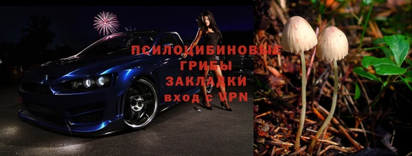 мдпв Гусь-Хрустальный
