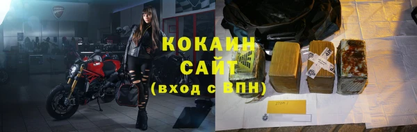 мдпв Гусь-Хрустальный