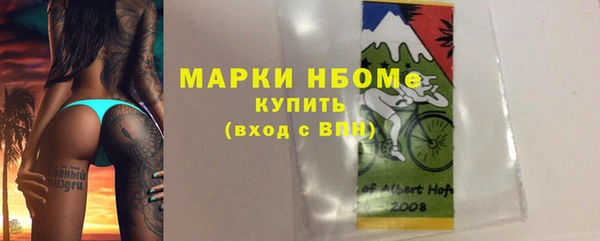 мдпв Гусь-Хрустальный