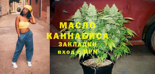 мдпв Гусь-Хрустальный