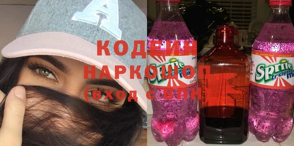 мдпв Гусь-Хрустальный