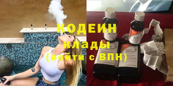 мдпв Гусь-Хрустальный