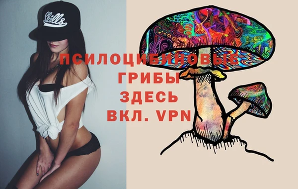 ALPHA-PVP Гусиноозёрск