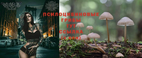 ALPHA-PVP Гусиноозёрск