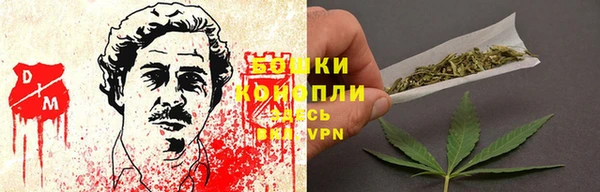 мдпв Гусь-Хрустальный