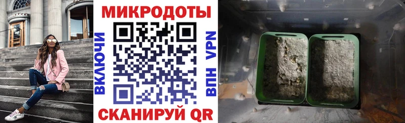 Галлюциногенные грибы мицелий  Купить где  Моршанск 